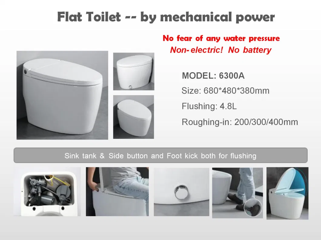 Flat Complete Bathroom Bidet /Intelligent/Electric Toilet