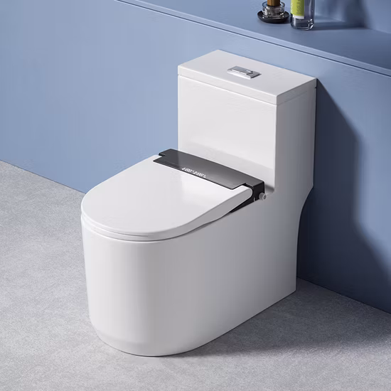 Sedile WC intelligente automatico elettrico riscaldato con coperchio a chiusura ammortizzata
