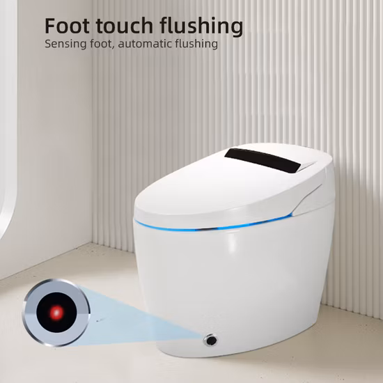 Chaozhou Sanitari 110V/220V Porcellana Sensore Automatico Europeo per Bagno Wc con Sciacquone Automatico WC Intelligente WC Intelligente con Sedile WC